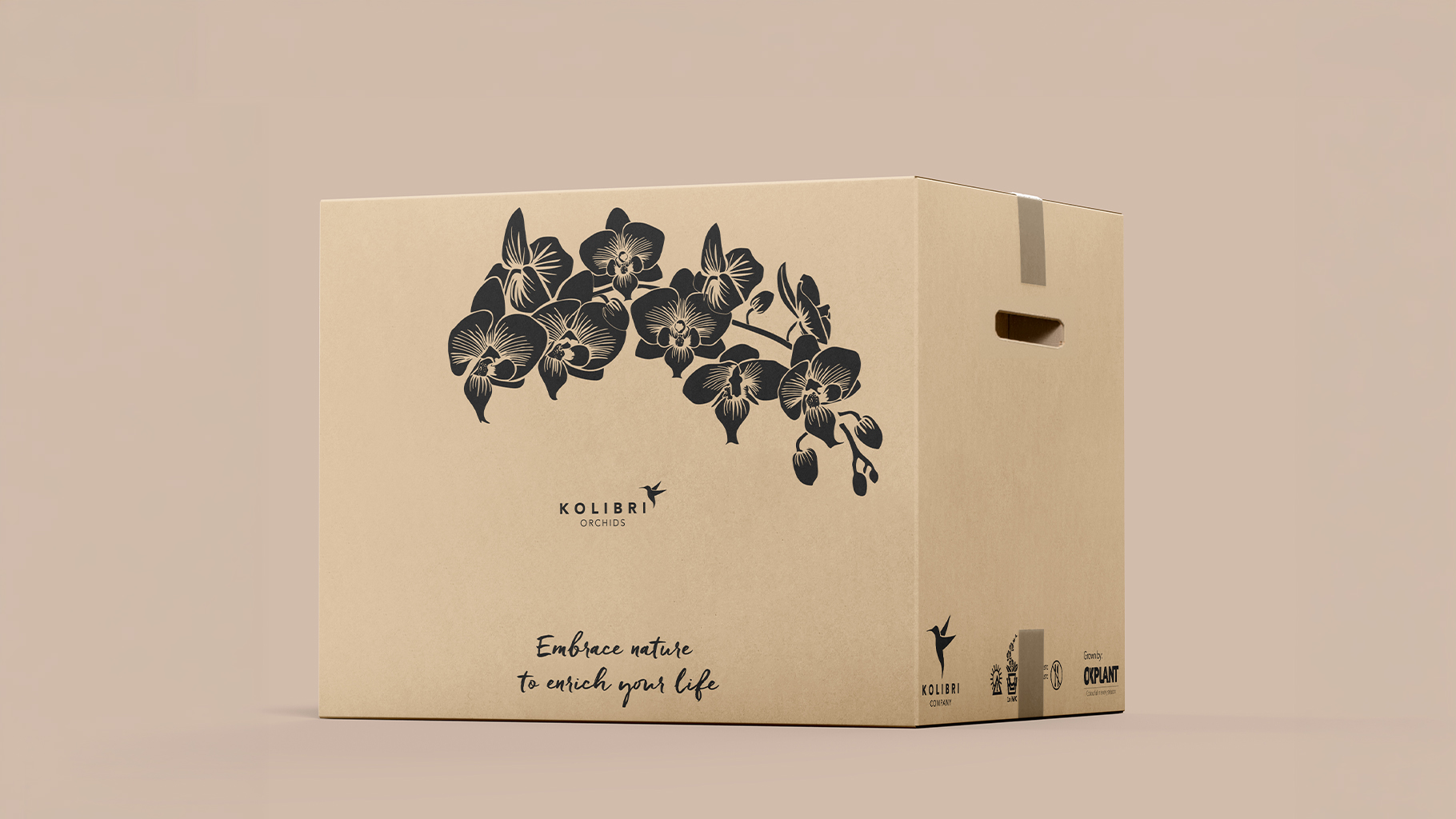 Kolibri box bewerkt beeld 1920x1279 1