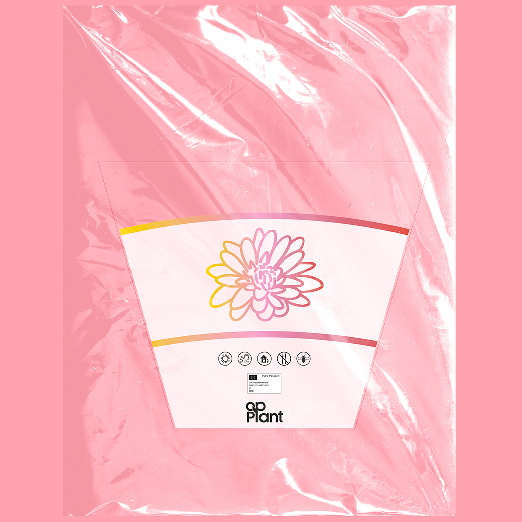 Bloemenhoes Opplant 1036x1036 VK